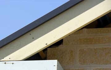 Maidensgrave fascia repairs