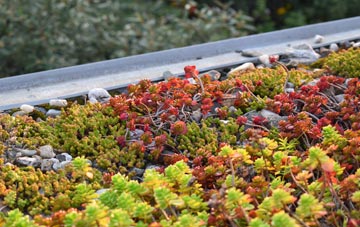 the cost of Maidensgrave green roof installation