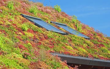 Maidensgrave living roof systems